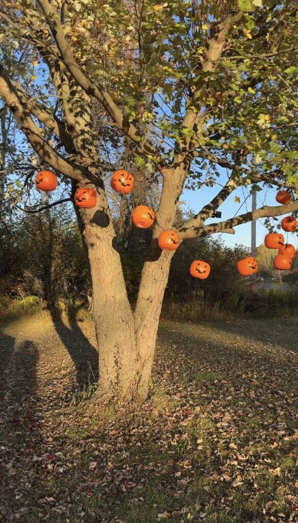 pumpkin bucket string lights hanging in a tree