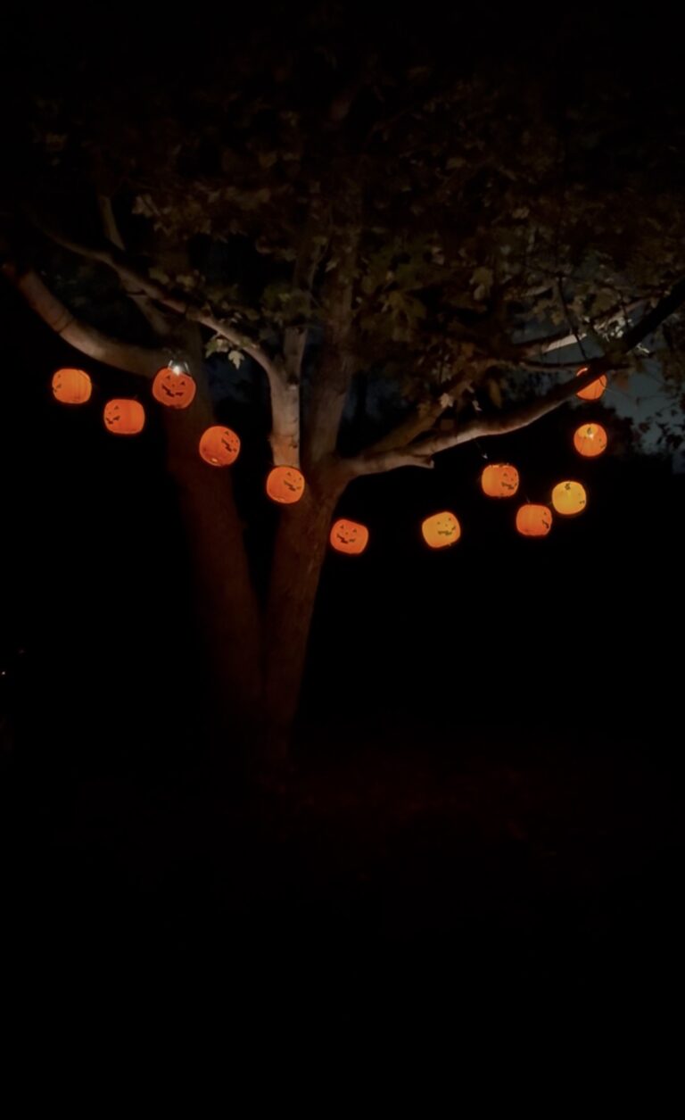 pumpkin bucket string lights hanging in a tree lit up at dark